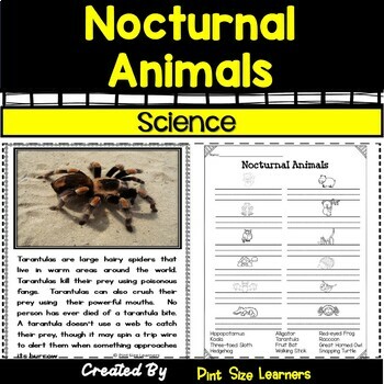 Preview of Nocturnal Animals Reading Passage and Comprehension Worksheets
