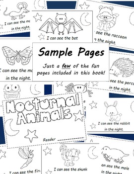 Nocturnal Animals Emergent Reader (12 Pages) for Kinders | TpT