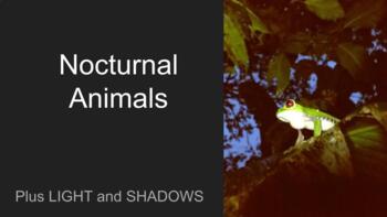 Preview of Nocturnal Animals- Light and Shadows Presentation, Activities, and Lesson Plans