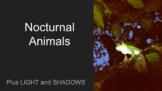 Nocturnal Animals- Light and Shadows Presentation, Activit