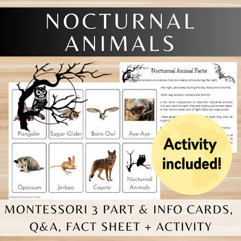 Preview of Nocturnal Animals/Montessori 3 Part Cards/Informational Text/Quiz/Activity
