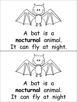 Nocturnal Animals- Nonfiction Leveled Reader- Level C Kindergarten Science