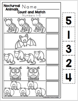 Nocturnal Animals Math and Literature by Preschool Printable | TPT