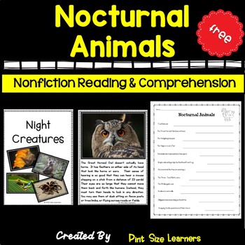 Preview of Nocturnal Animals Reading Passage and Comprehension Check | Free!