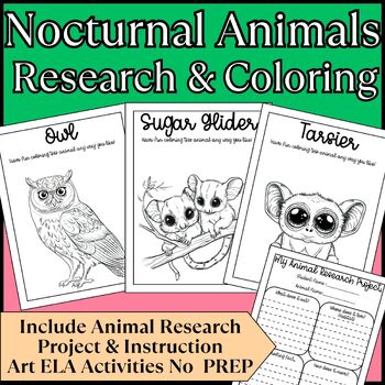 Preview of Nocturnal Animals Research and Coloring Project for Kids PreK to 4th Grade