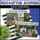 Nocturnal Animals Science Activities - Nighttime Five Sens