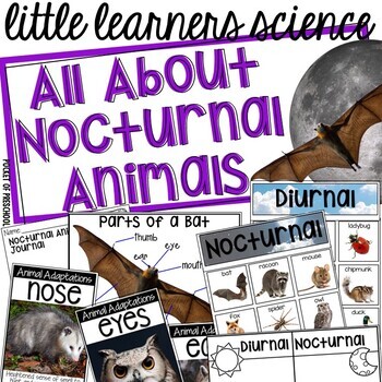 Preview of Nocturnal Animals - Science for Little Learners (preschool, pre-k, & kinder)