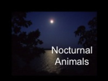 Preview of Nocturnal Animals Smartboard