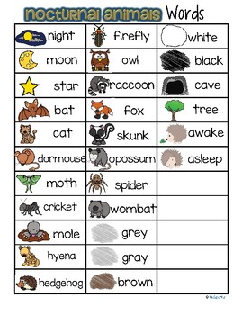 Nocturnal Animals Vocabulary Words List FREE by KidSparkz | TpT