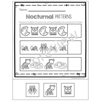 Nocturnal Animals Worksheets for Preschool - Kindergarten | TPT