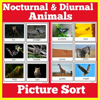 Diurnal Animals Teaching Resources | TPT