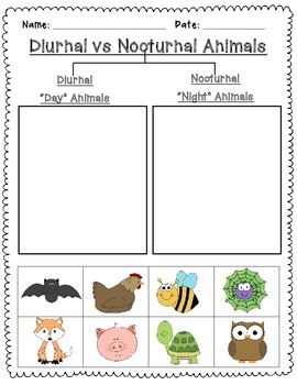 Nocturnal and Diurnal Animal Sort Freebie | TpT