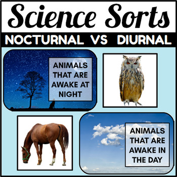 Nocturnal and Diurnal Animal Sort by The Connett Connection | TPT