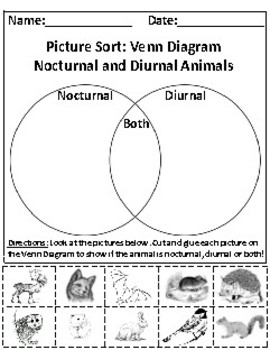 Diurnal Chart
