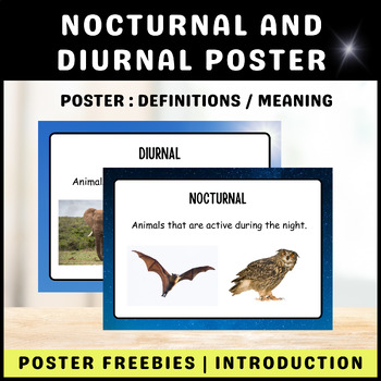 Preview of Nocturnal and Diurnal Introductory Posters FREEBIES