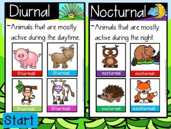 Nocturnal and diurnal POWERPOINT GAME by Murphys lesson design | TPT