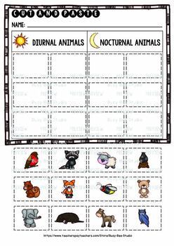 Nocturnal vs Diurnal Animals | Category Sort | Cut and Paste Worksheets