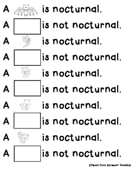 Nocturnal/Not Nocturnal Animal Worksheet by SHAE ZIMMERMAN | TPT
