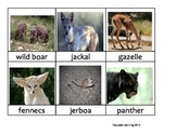 Nomenclature Cards - Animals - Africa - Algeria