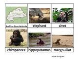 Nomenclature Cards - Animals - Africa - Burkina Faso