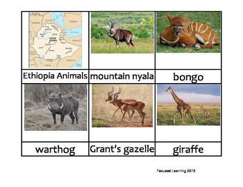 Preview of Nomenclature Cards - Animals - Africa - Ethiopia