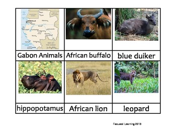 Preview of Nomenclature Cards - Animals - Africa - Gabon