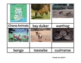 Nomenclature Cards - Animals - Africa - Ghana