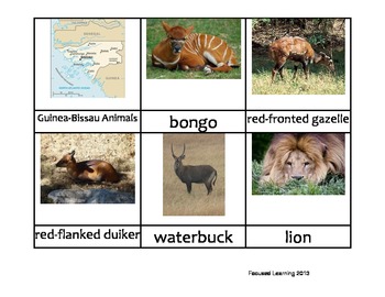 Preview of Nomenclature Cards - Animals - Africa - Guinea-Bissau