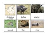 Nomenclature Cards - Animals - Africa - Zimbabwe