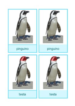 Preview of Nomenclature cards: parts of the penguin, Italian