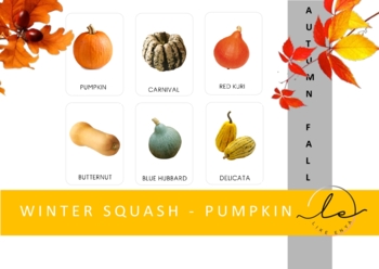 Preview of Nomenclature cards_WINTER SQUASH AND PUMPKIN_Fall