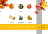 Nomenclature cards_WINTER SQUASH AND PUMPKIN_Fall