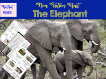 Preview of Informational Writing - The Elephant  (non-chronological report writing)