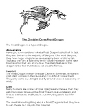 Non-Chronological report/ Information Text - Dragons