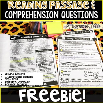 Preview of Guided Reading Passage Level N FREEBIE