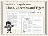 Non-Fiction Comprehension for Big Cats: Lion, Cheetahs and Tigers