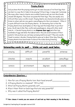 Non Fiction Comprehension passages/worksheets by Teaching Bug - Aussie ...