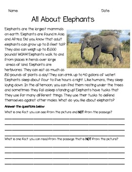 Non-Fiction Picture vs. Text Worksheets by Mrs Gs Home Sweet Classroom