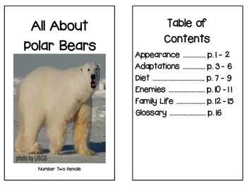 Preview of Non- Fiction Polar Bear Reader