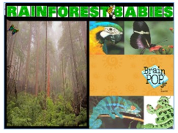 Preview of Non-Fiction Rainforest Animals Flipchart for ActivBoards & Distance Learning