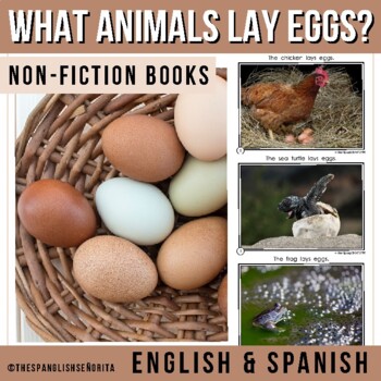 What animals lays eggs? | Non-Fiction Easy Reader (English & Spanish)