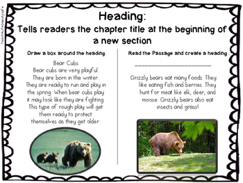 Non-Fiction Text Features by Teach 4 Life Deputy Wife | TpT