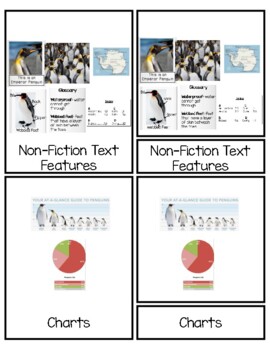Preview of Non-Fiction Text Features Classified Nomenclature 3 Part Cards