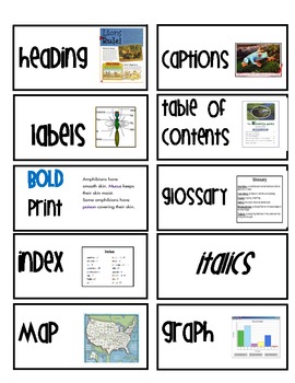 Preview of Non Fiction Text Features Activities