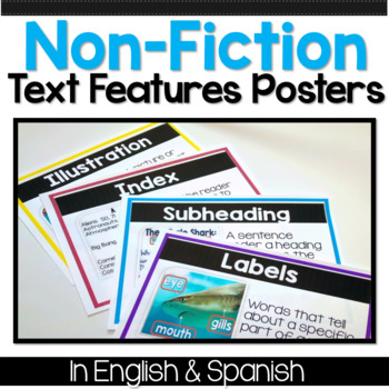 Preview of Text Features Características del texto Anchor Chart Posters