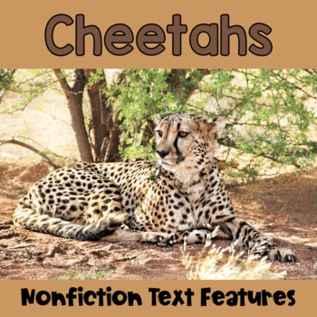 Preview of Nonfiction Text Features: Cheetahs