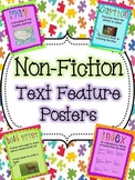 Non-Fiction Text Features Colorful Posters