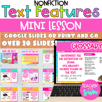 Preview of Non-Fiction Text Features Mini Lesson |  Presentation and POSTERS