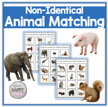 Preview of Non-Identical Animal Matching
