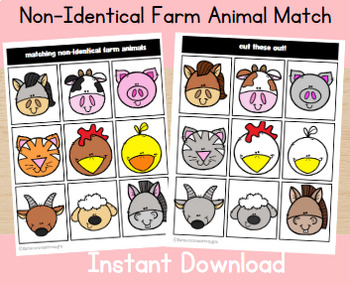 Preview of Non-Identical Farm Animal Match
